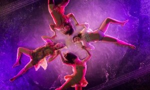 Fuerzabruta